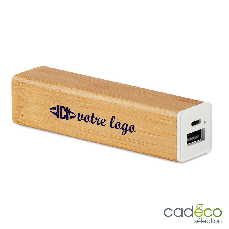 Batterie de secours VIKANE 2200 mAh