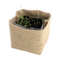 Image 2 - Kit de plantation COCO JUTE