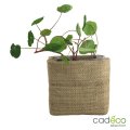 Image 1 - Kit de plantation COCO JUTE