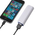 Image 2 - Chargeur FOX 2200 MAH