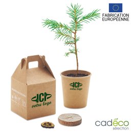 Kit de plantation VIGGIA