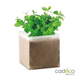 Sachet avec graines de menthe MACO