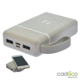 Batterie et chargeur double usage NEEPER 5000mAh