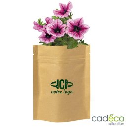 Sachet de graines en papier OSSINING