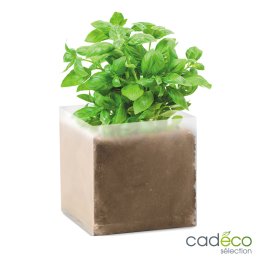 Sachet avec graines de basilic MACO